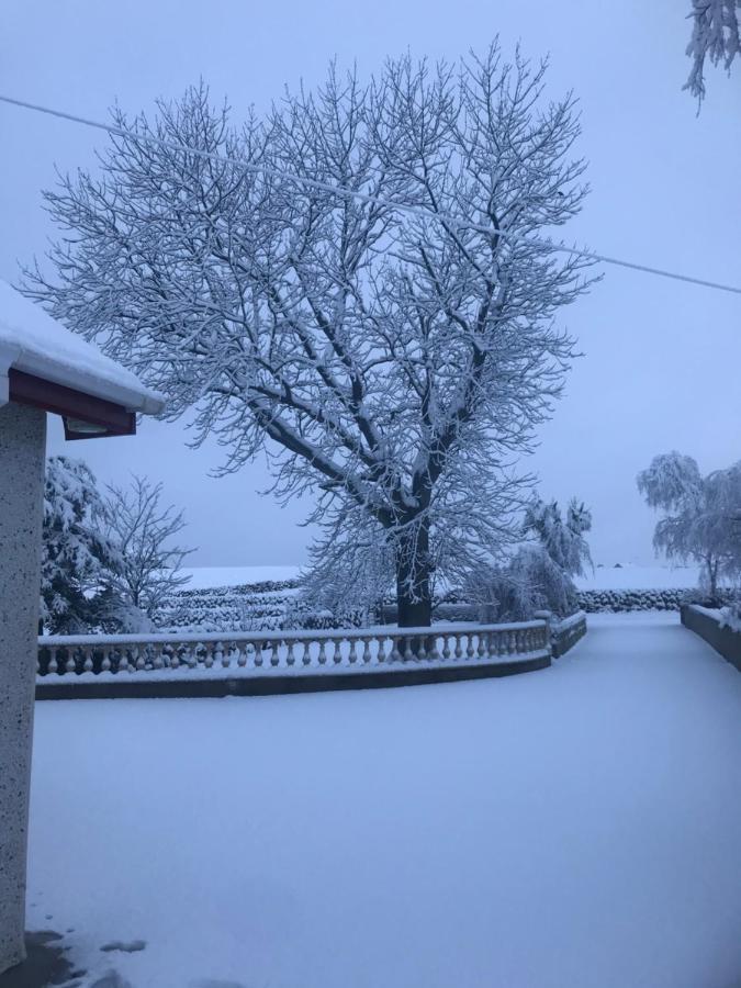 Lovely 2-Bed Cottage At The Foot Of The Mournes Newry Esterno foto
