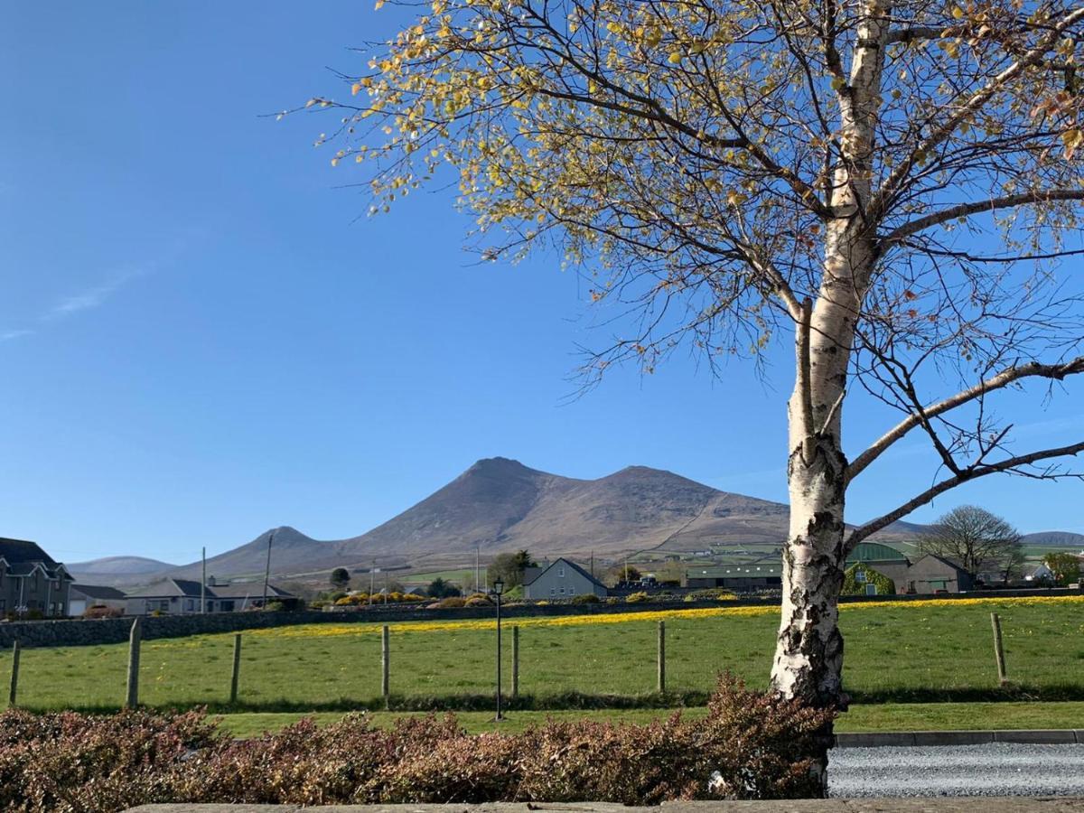 Lovely 2-Bed Cottage At The Foot Of The Mournes Newry Esterno foto