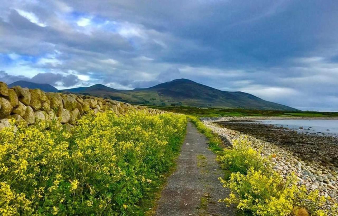 Lovely 2-Bed Cottage At The Foot Of The Mournes Newry Esterno foto